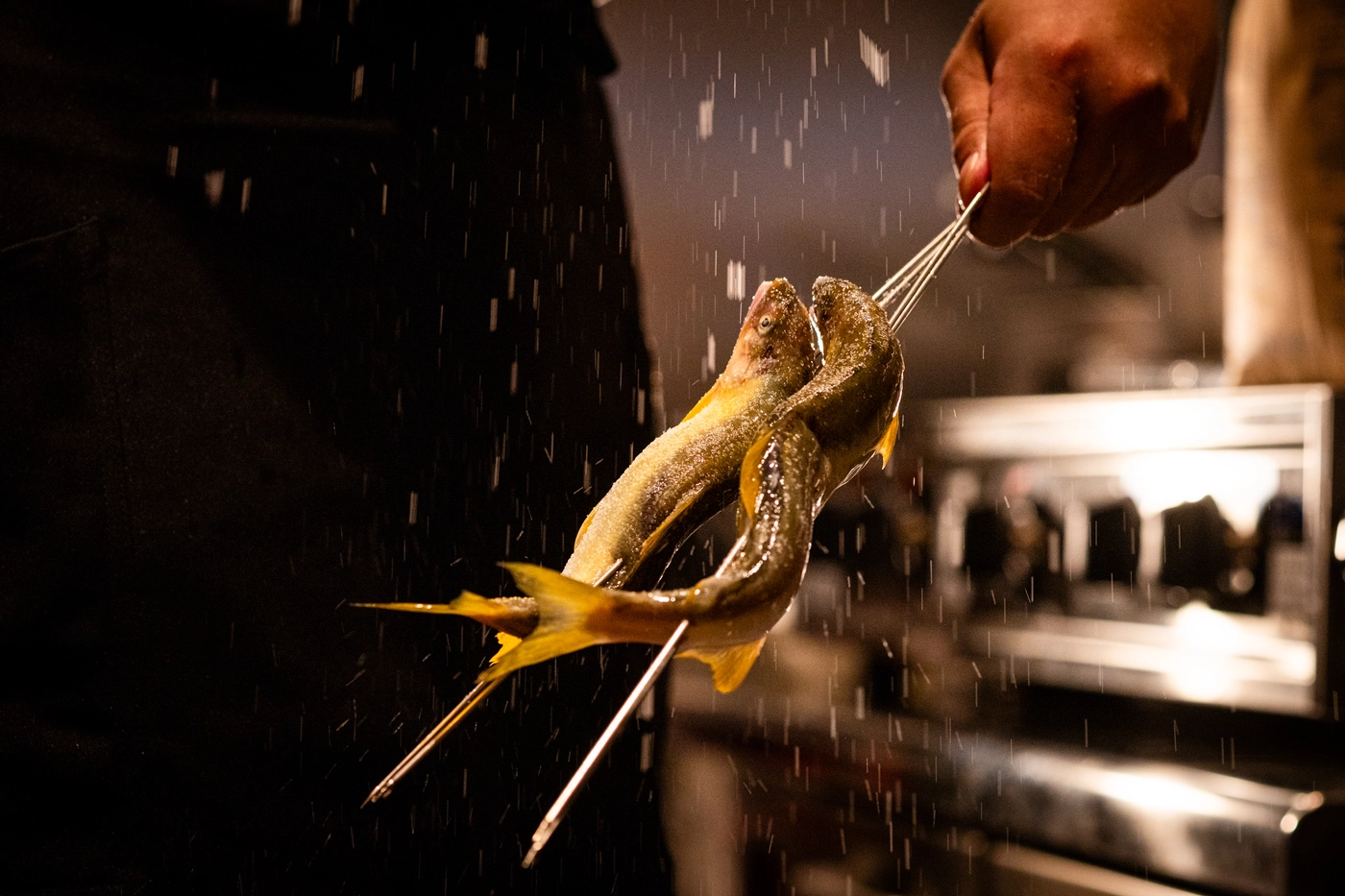 food_14